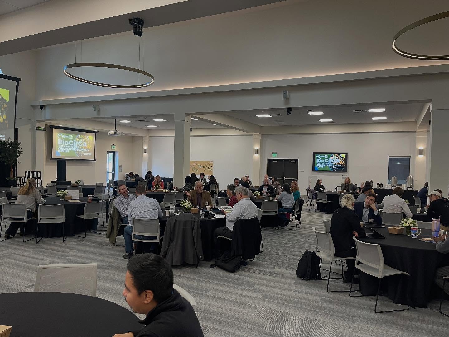 Board and governance practices